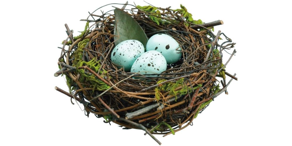 Birds Nest Spring Decor