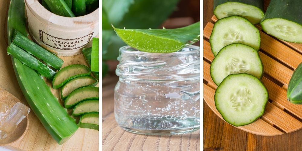  Aloe Vera Face Mask