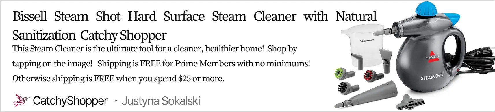 Bissell SteamShot Hard Surface Steam Cleaner