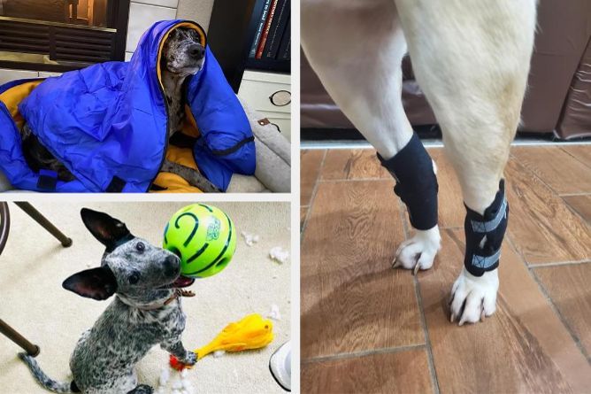 Top 23 Amazon Picks We Tried And Loved In December