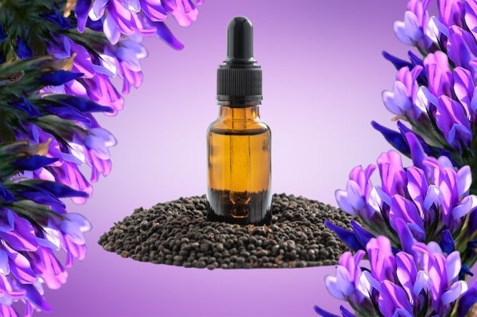 What Is Bakuchiol and Why It Deserves A Place In Your Routine