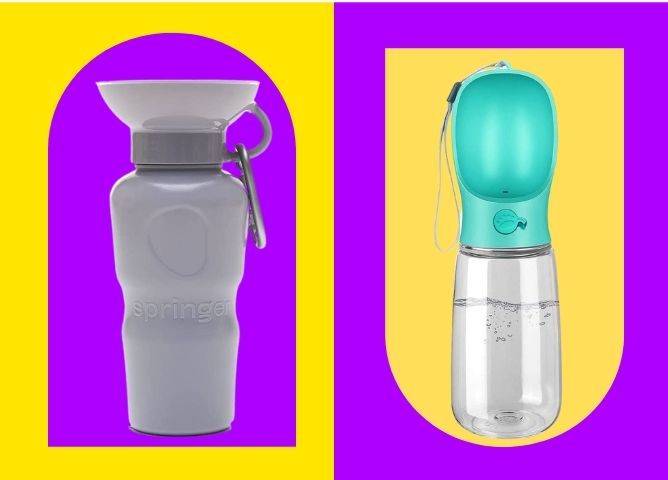 These 10 Convenient Dog Water Bottle Options Will Eliminate Thirsty Trips Home From the Park!