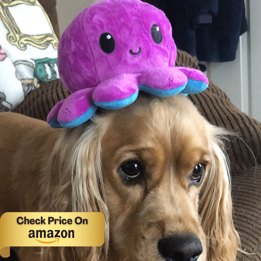 15 Cute Things You Can Get From Amazon